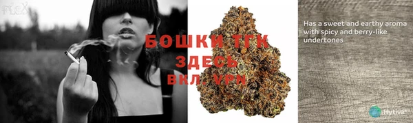 мдпв Богородицк