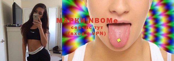 мдпв Богородицк