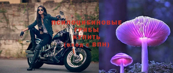 мдпв Богородицк
